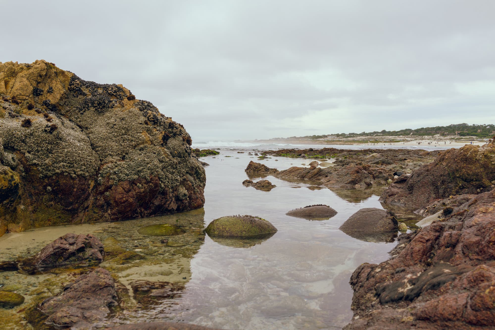Carmel & Monterey photo DSC08164