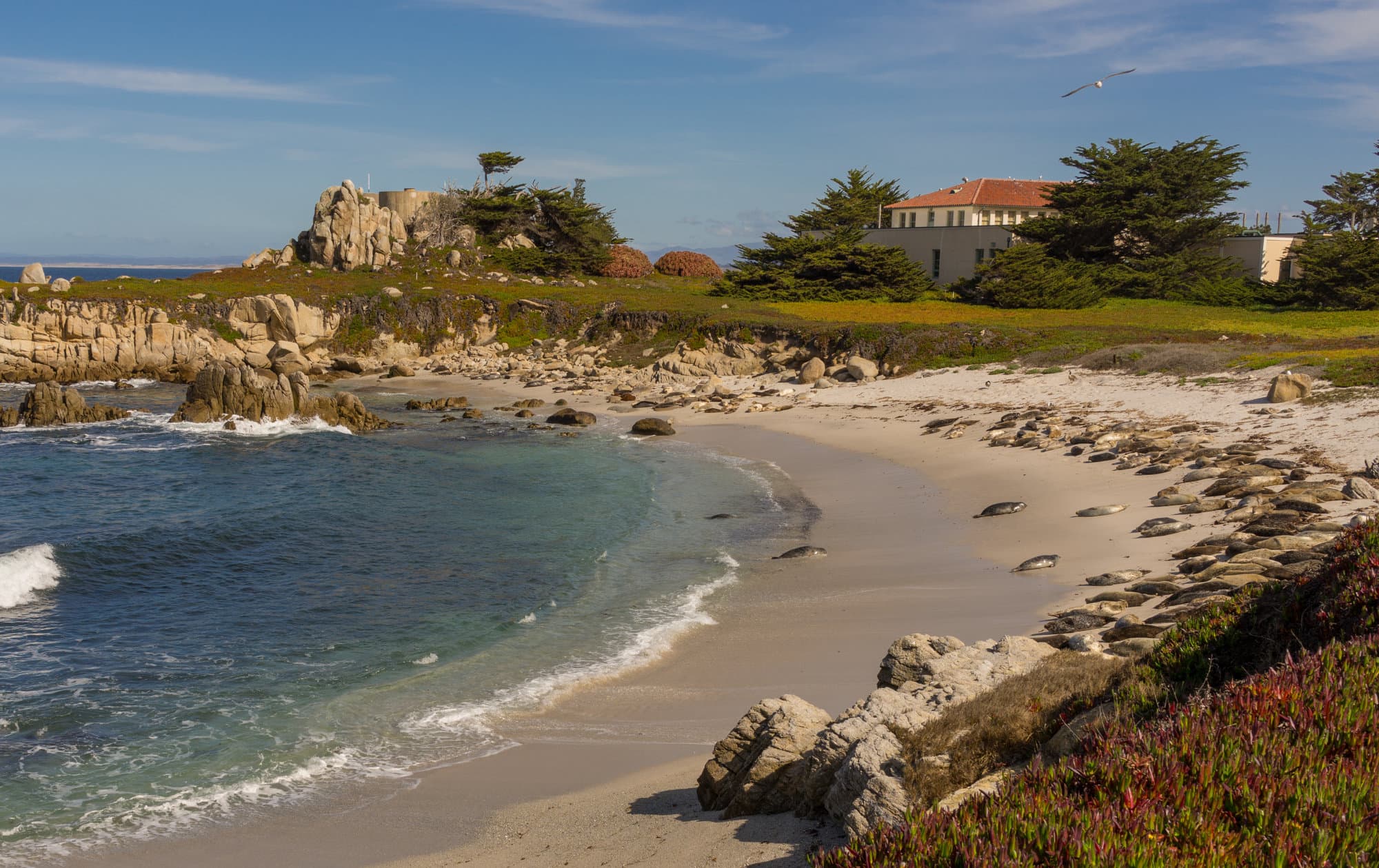 Carmel & Monterey photo DSC08254