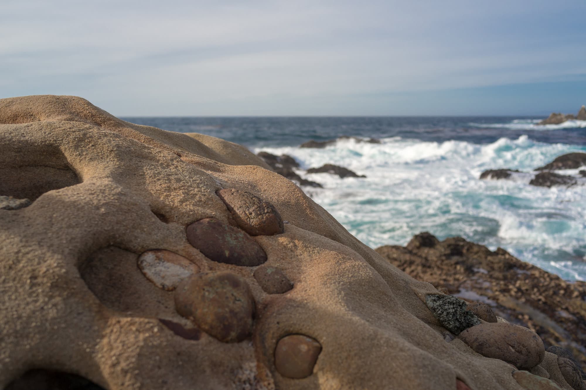 Carmel & Monterey photo DSC08417